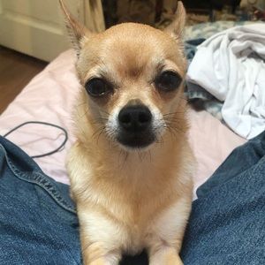 Meet your Posher, Haley